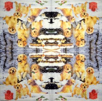 HUN-339 Hunde - 3-lagig - Ambiente